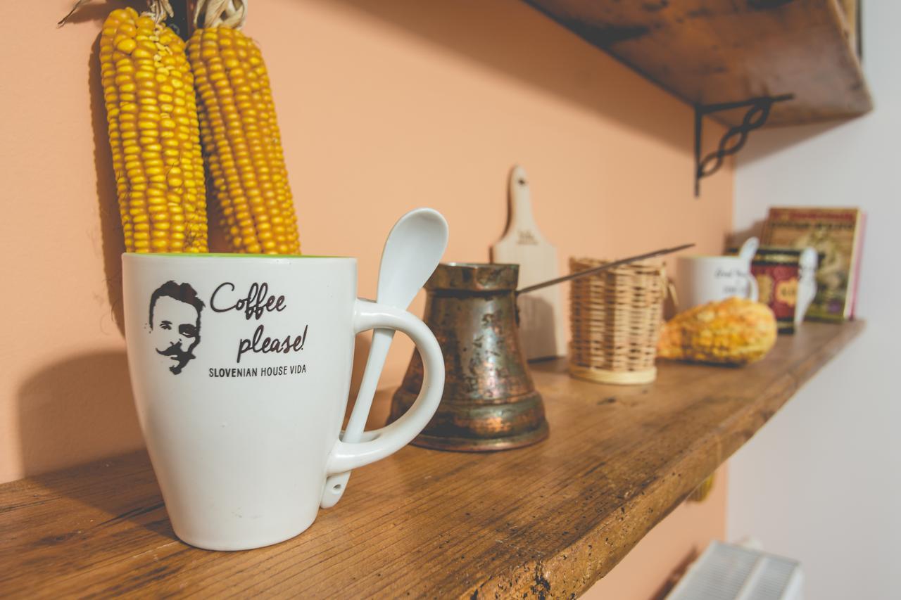 Acomodação com café da manhã  Slovenian House Vida Liubliana